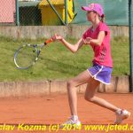 Mezinárodní tenis v Písku
