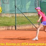Mezinárodní tenis v Písku