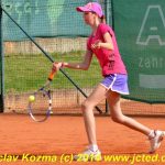 Mezinárodní tenis v Písku