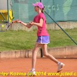Mezinárodní tenis v Písku