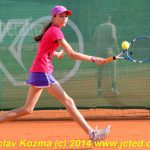 Mezinárodní tenis v Písku