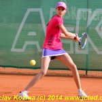 Mezinárodní tenis v Písku