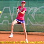 Mezinárodní tenis v Písku