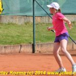 Mezinárodní tenis v Písku