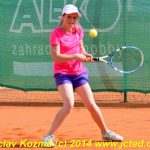 Mezinárodní tenis v Písku
