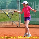 Mezinárodní tenis v Písku