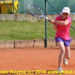 Mezinárodní tenis v Písku