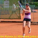 Mezinárodní tenis v Písku