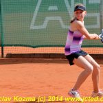 Mezinárodní tenis v Písku