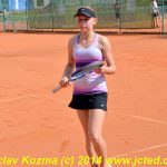 Mezinárodní tenis v Písku