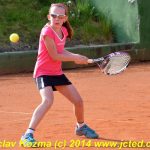 Mezinárodní tenis v Písku