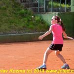 Mezinárodní tenis v Písku