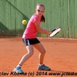Mezinárodní tenis v Písku