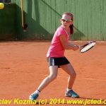 Mezinárodní tenis v Písku