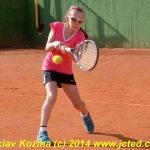 Mezinárodní tenis v Písku