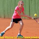 Mezinárodní tenis v Písku