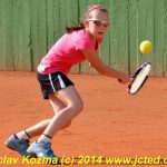 Mezinárodní tenis v Písku
