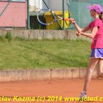 Mezinárodní tenis v Písku