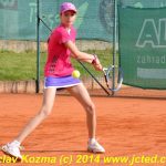 Mezinárodní tenis v Písku