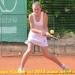 Mezinárodní tenis v Písku