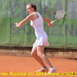 Mezinárodní tenis v Písku