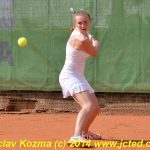 Mezinárodní tenis v Písku