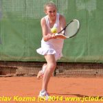 Mezinárodní tenis v Písku
