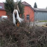 Čarodějnice zdobí ploty u lomských domů