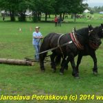 Chladnokrevní koně soutěžili o kvalifikaci na Mistrovství republiky