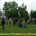 Chladnokrevní koně soutěžili o kvalifikaci na Mistrovství republiky