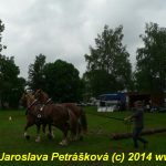 Chladnokrevní koně soutěžili o kvalifikaci na Mistrovství republiky