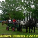 Chladnokrevní koně soutěžili o kvalifikaci na Mistrovství republiky