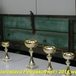 Chladnokrevní koně soutěžili o kvalifikaci na Mistrovství republiky