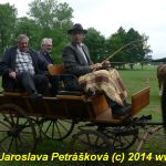 Chladnokrevní koně soutěžili o kvalifikaci na Mistrovství republiky