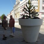 Po obřím věnci připutovaly do Strakonic obří květináče
