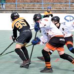 Písek - Suchdol nad Lužnicí 