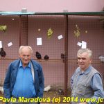 Pohádkovou pouť v Radomyšli nepřekazilo ani počasí