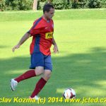 Siko inkasovalo na svém hřišti bůra