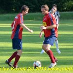 Siko inkasovalo na svém hřišti bůra