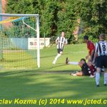 Siko inkasovalo na svém hřišti bůra