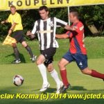 Siko inkasovalo na svém hřišti bůra