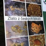 Rýžování zlata láká už 22 let