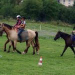 Westernový trail vyhráli modrooký Monty, Rin ze Semic a Largo