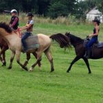 Westernový trail vyhráli modrooký Monty, Rin ze Semic a Largo
