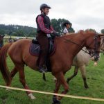 Westernový trail vyhráli modrooký Monty, Rin ze Semic a Largo