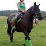 Westernový trail vyhráli modrooký Monty, Rin ze Semic a Largo