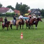 Westernový trail vyhráli modrooký Monty, Rin ze Semic a Largo
