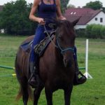 Westernový trail vyhráli modrooký Monty, Rin ze Semic a Largo