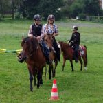 Westernový trail vyhráli modrooký Monty, Rin ze Semic a Largo