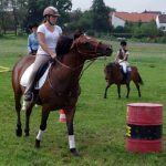 Westernový trail vyhráli modrooký Monty, Rin ze Semic a Largo